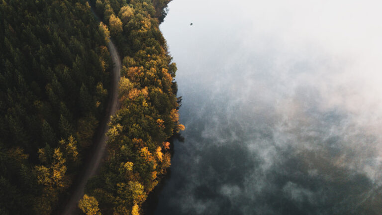 Tipos de páginas web 2026 creada por 14soles