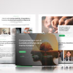 Proceso de crear pagina web en valencia profesional con 14soles