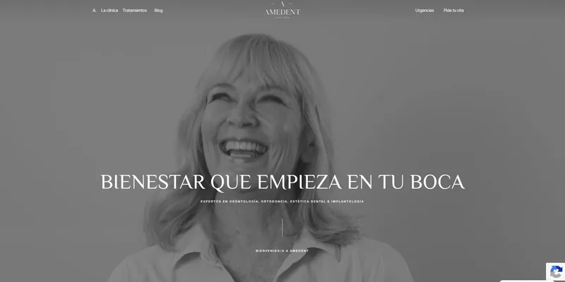 Diseño web Amedent